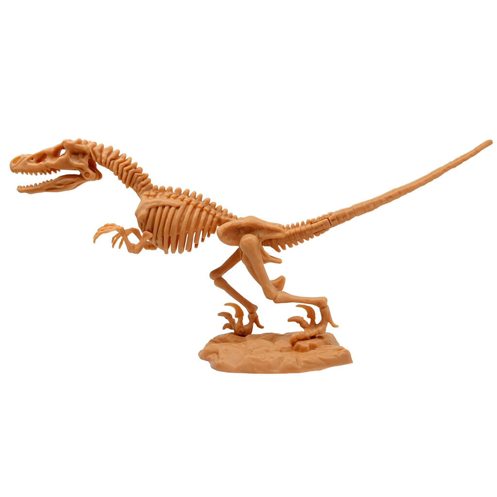 Dinosauruste skeleti komplekt Megasaur Mighty 2 in 1, 16944C hind ja info | Mänguasjad poistele | hansapost.ee