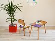 Lastelaud tooliga Kalune Design PSTK02-CHR, erinevad värvid цена и информация | Lauad ja toolid lastele | hansapost.ee