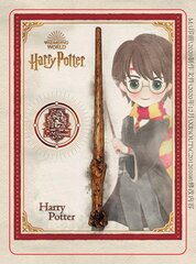 HARRY POTTER Harry Potteri võlukepp hind ja info | Mänguasjad poistele | hansapost.ee