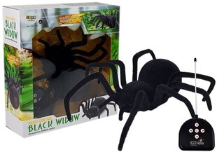 Kaugjuhitav ämblik Black Widow price and information | Toys for boys | hansapost.ee