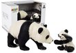 Loomakujude komplekt - Panda hind ja info | Mänguasjad poistele | hansapost.ee