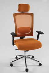 Офисное кресло Virginia, оранжевый цена и информация | Офисные кресла | hansapost.ee