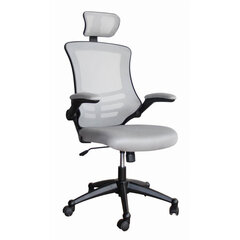 Офисный стул Ragusa, Серый цена и информация | Офисные кресла | hansapost.ee