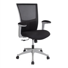Офисное кресло Lumina, серое/черное цена и информация | Офисные кресла | hansapost.ee