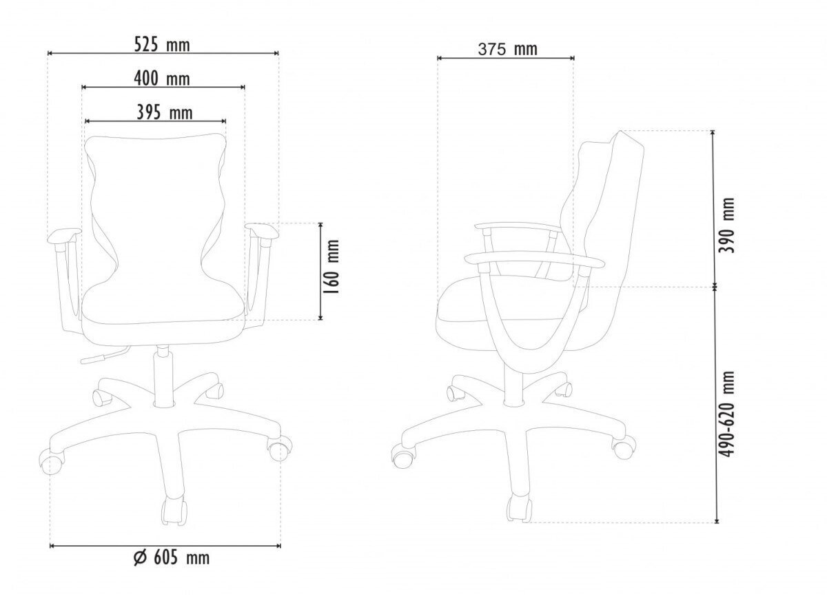 Ergonoomiline kontoritool Entelo Norm ST33, hall/must hind ja info | Kontoritoolid | hansapost.ee