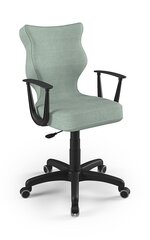 Офисное кресло Entelo Norm DC20, светло-зеленое цена и информация | Офисные кресла | hansapost.ee