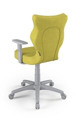Офисное кресло Entelo Duo DC19 6, зеленое/серое цена и информация | Офисные кресла | hansapost.ee