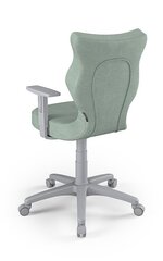 Офисное кресло Entelo Duo DC20 6, зеленое/серое цена и информация | Офисные кресла | hansapost.ee