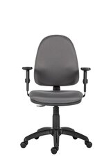 Офисное кресло Wood Garden 1140 D5, серое цена и информация | Офисные кресла | hansapost.ee
