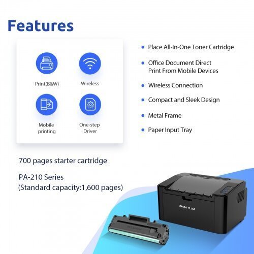 Pantum P2500W Wi-Fi printer laser monochrome цена и информация | Printerid | hansapost.ee