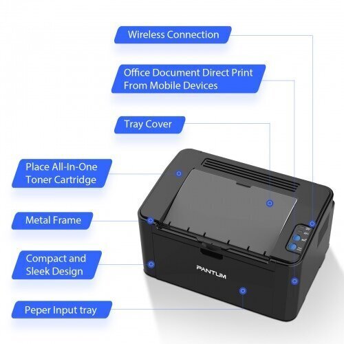Pantum P2500W Wi-Fi printer laser monochrome цена и информация | Printerid | hansapost.ee
