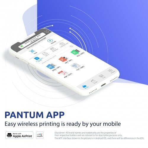 Pantum P3010DW цена и информация | Printerid | hansapost.ee