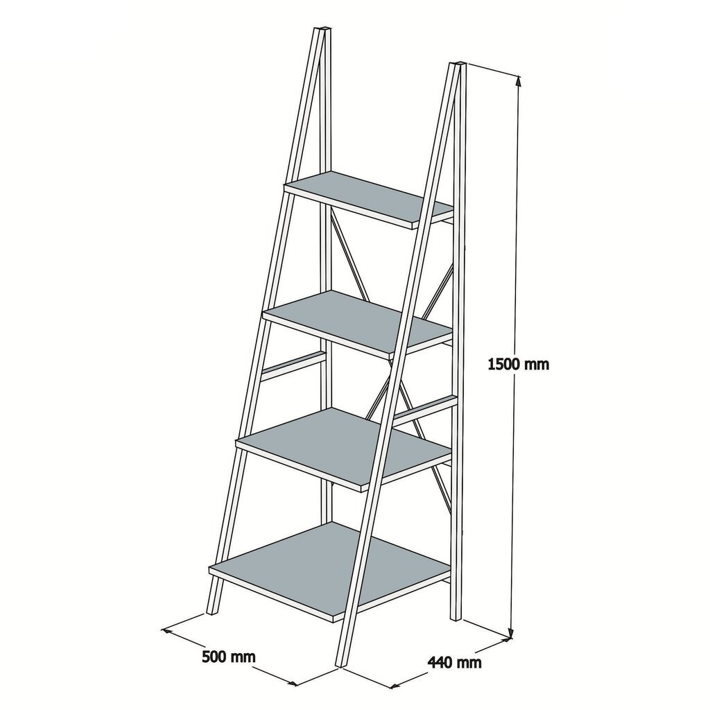 Riiul Kalune Design Passi, pruun/must hind ja info | Riiulid | hansapost.ee