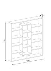 Eraldiseisev riiul Kalune Design Ample, valge/pruun hind ja info | Riiulid | hansapost.ee