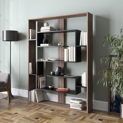 Eraldiseisev riiul Kalune Design Esteban, pruun/must hind ja info | Riiulid | hansapost.ee