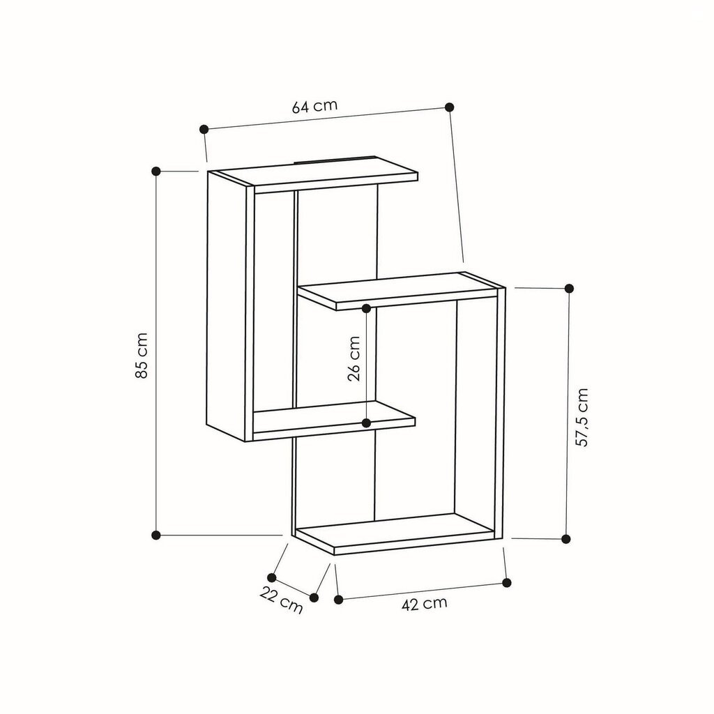 Riiul Kalune Design Paranoid, hall/tumepruun цена и информация | Riiulid | hansapost.ee