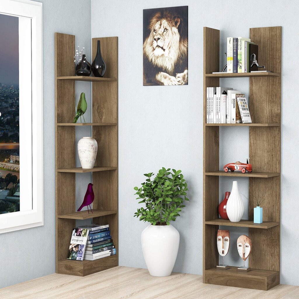 Eraldiseisev riiul Kalune Design Bookshelf 835, tumepruun hind ja info | Riiulid | hansapost.ee