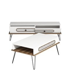 Комплект мебели для гостиной Kalune Design 845(XXIV), белый цена и информация | Секции | hansapost.ee
