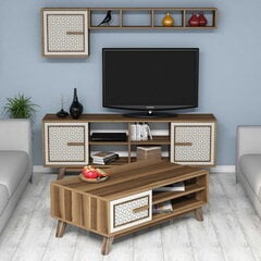 Комплект мебели для гостиной Kalune Design 845(XI), темно-коричневый цена и информация | Секции | hansapost.ee