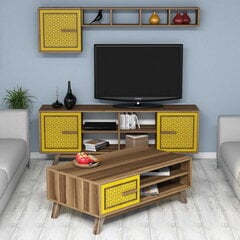 Комплект мебели для гостиной Kalune Design 845(XXI), коричневый цена и информация | Секции | hansapost.ee