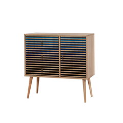 Kummut Kalune Design Dresser 3446, tamme värv/sinine hind ja info | Kummutid | hansapost.ee