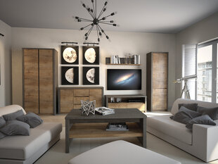 Шкаф Montana S2D, коричневый/серый цена и информация | Gala Meble Мебель и домашний интерьер | hansapost.ee