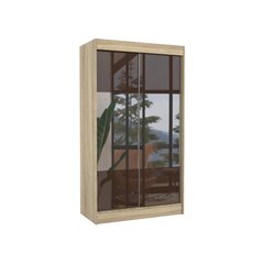 Шкаф Adrk Furniture Tamos 120 см, коричневый/цвета дуба цена и информация | Шкафы | hansapost.ee