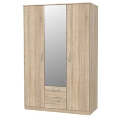 Шкаф с зеркалом Selsey Niko, 122,6 см, цвета дуба цена и информация | Шкафы | hansapost.ee