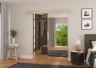 Двери для ниши с зеркалом ADRK Furniture Tess 96, дубовый цвет цена и информация | Шкафы | hansapost.ee
