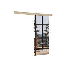 Двери для ниши с зеркалом ADRK Furniture Tess 96, дубовый цвет цена и информация | Шкафы | hansapost.ee