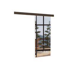 Двери для ниши с зеркалом ADRK Furniture Tess 86, коричневые цена и информация | Шкафы | hansapost.ee