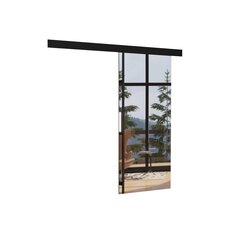 Двери для ниши с зеркалом ADRK Furniture Tess 96, черные цена и информация | Шкафы | hansapost.ee