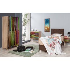 Шкаф Kalune Design Wardrobe 863 (л) 90 см, цвет дуба / разноцветные оттенки цена и информация | Шкафы | hansapost.ee