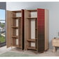 Riidekapp Kalune Design Wardrobe 869 (V), 180 cm, tamm/punane цена и информация | Kapid | hansapost.ee