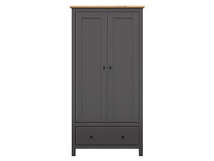 Kapp BRW Hesen 2D1S, hall/pruun price and information | Cupboards | hansapost.ee