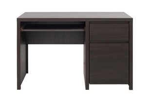Письменный стол Kaspian 120, коричневый цена и информация | Компьютерные, письменные столы | hansapost.ee