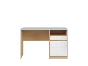 Письменный стол BRW Nandu 1S1D, серый / белый цена и информация | Компьютерные, письменные столы | hansapost.ee