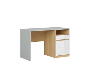 Письменный стол BRW Nandu 1S1D, серый / белый цена и информация | Компьютерные, письменные столы | hansapost.ee