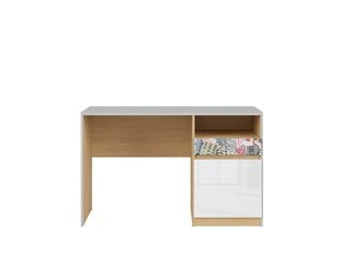Письменный стол BRW Nandu 1S1D, серый / розовый цена и информация | Компьютерные, письменные столы | hansapost.ee