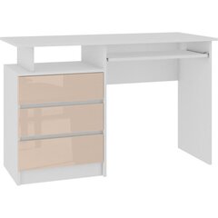 Письменный стол NORE CLP, белый/коричневый цена и информация | NORE Офисная мебель | hansapost.ee