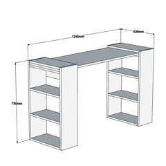 Письменный стол Kalune Design Handy, коричневый/белый цена и информация | Детские письменные столы | hansapost.ee