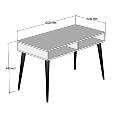 Kirjutuslaud Kalune Design Novo, pruun hind ja info | Arvutilauad, kirjutuslauad | hansapost.ee