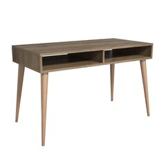 Письменный стол Kalune Design Novo, коричневый цена и информация | Компьютерные, письменные столы | hansapost.ee