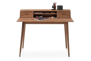 Письменный стол MC Akcent Melbourne, коричневый цена и информация | Компьютерные, письменные столы | hansapost.ee
