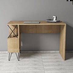 Письменный стол Extra, светло-коричневый цена и информация | Компьютерные, письменные столы | hansapost.ee
