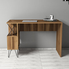 Письменный стол Extra, коричневый цена и информация | Компьютерные, письменные столы | hansapost.ee