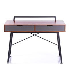 Письменный стол Homede Dust, коричневый/черный цена и информация | Компьютерные, письменные столы | hansapost.ee