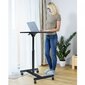 Tatkraft Focus Airlift Sit-Stand mobiilne ergonoomiline arvutilaud цена и информация | Arvutilauad, kirjutuslauad | hansapost.ee