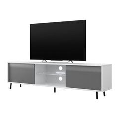 TV стол Selsey Luna белый/серый цена и информация | Тумбы под телевизор | hansapost.ee