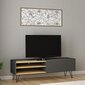 TV laud Kalune Design Veronica, tamm/hall hind ja info | Televiisori alused | hansapost.ee